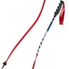 Swix WorldCup Pro DH Carbon