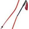 Swix WorldCup Pro DH 2 Swix WorldCup Pro DH -Sci Attrezzatura 19 wc pro dh FA125 00 neu