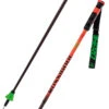Rossignol Hero CAK Green Light Poles -Sci Attrezzatura 22 hero cak RDL1000