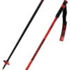 Rossignol Hero SL Poles 1 Rossignol Hero SL Poles -Sci Attrezzatura 22 hero sl RDL1030