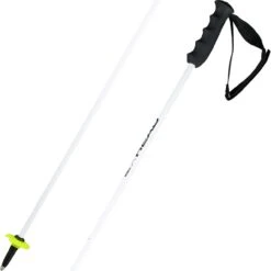 Head Worldcup Rebels Carbon Poles