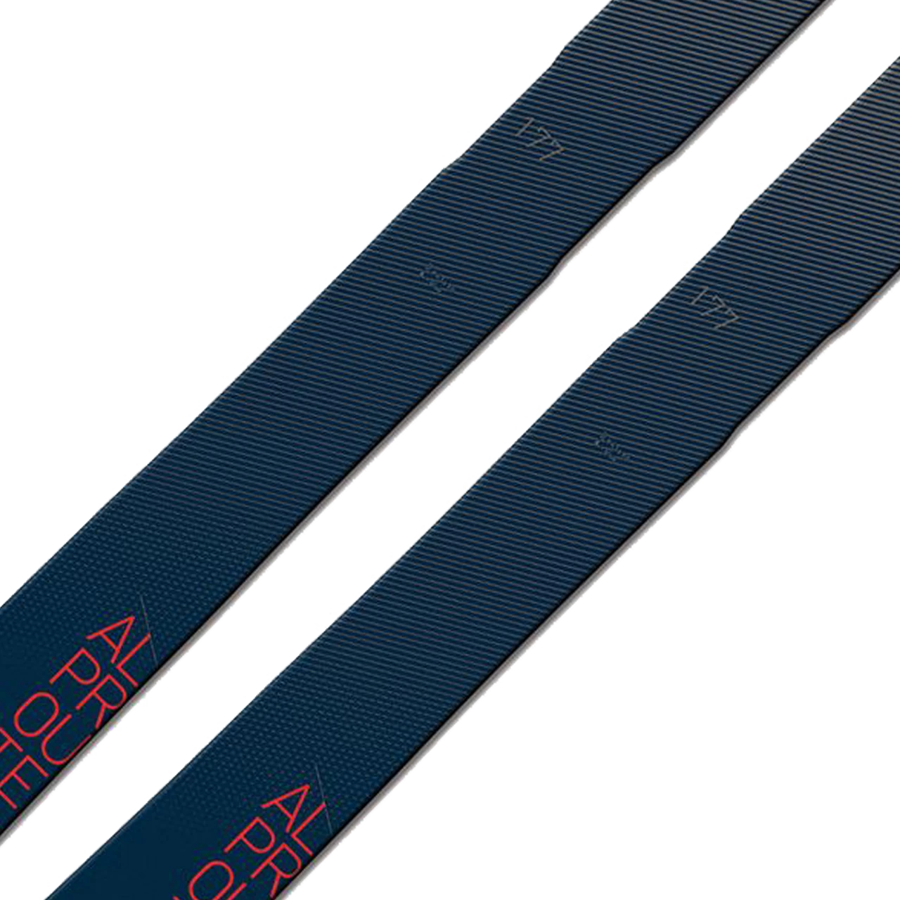 Fischer Alproute 88 (2022/23) 6 Fischer Alproute 88 (2022/23) - immagine 4